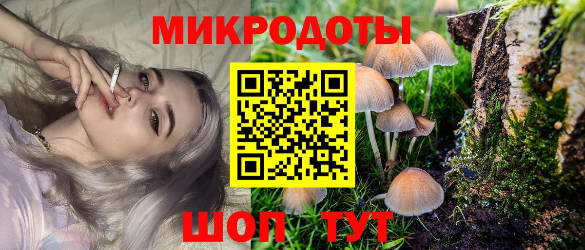 Брянск  Псилоцибиновые грибы Cubensis  Вход с VPN 