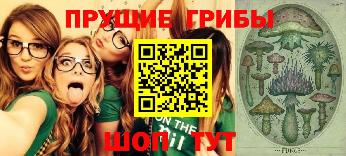 Псилоцибиновые грибы мухоморы Брянск